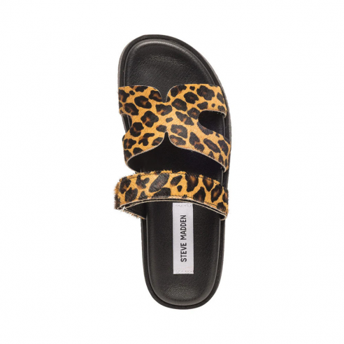 STEVE MADDEN MISSILE LEOPARD