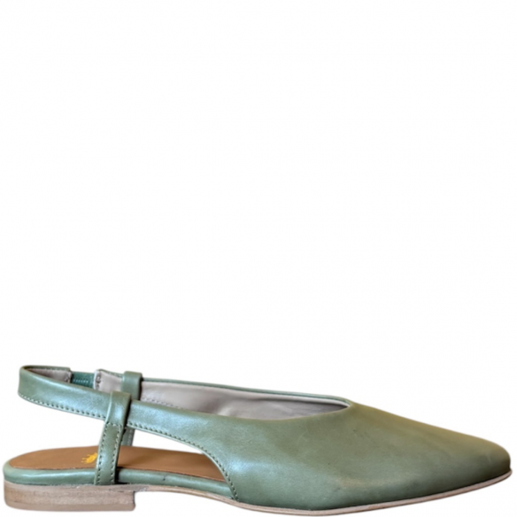 NICHE 7311 SANDY OLIVA