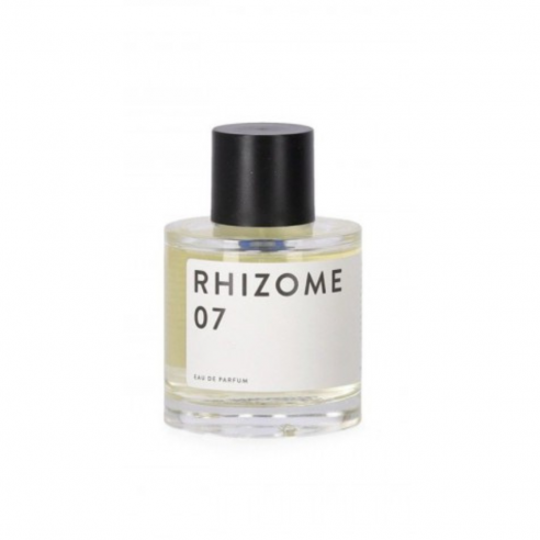 RHIZOME 07